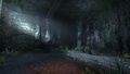 Thumbnail for version as of 19:08, 6 June 2025