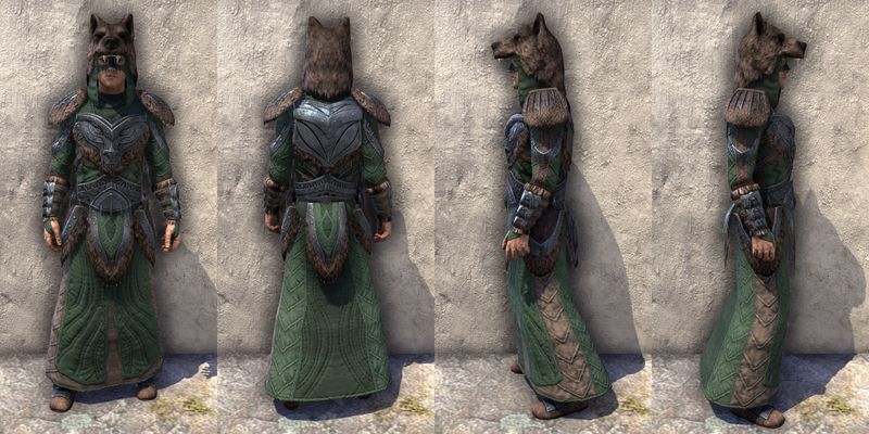 File:ON-item-armor-Skinchanger Light Robe Male.jpg