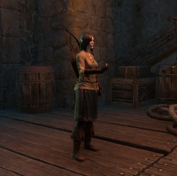 File:ON-npc-Valente Hunter.jpg