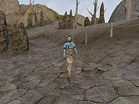 MW-quest-Lead the Pilgrim to Koal Cave.jpg