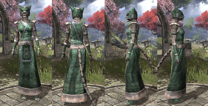 File:ON-item-armor-Khajiit Light Robe 1 Female.jpg