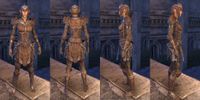 ON-item-armor-Rawhide-Ancient Elf-Female.jpg