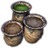ON-icon-dye stamp-Harvest Jaqspur Leathers.png