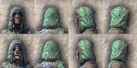 ON-item-armor-Order of the Hour Light Beast Races.jpg