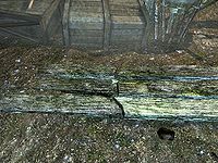 SR-trap-Rotten Plank.jpg