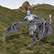 Winged Twilight Morrowind