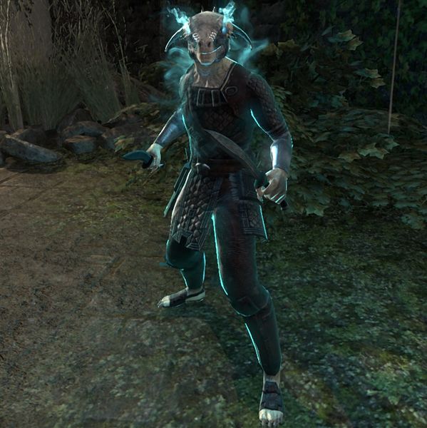 File:ON-npc-Leel Nightblade.jpg
