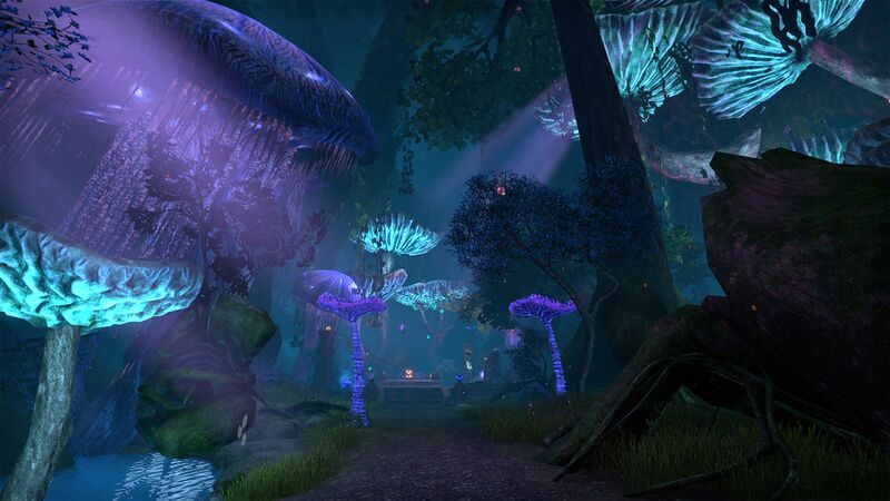 File:ON-place-Misfortune Teller's Garden.jpg