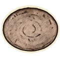 Thumbnail for version as of 02:15, 29 May 2025