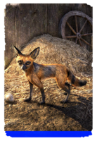 ON-card-Linchal Titian Fox.png