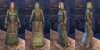 ON-item-armor-Homespun-Robe-Ancient Elf-Female.jpg