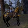 ON-mount-Ancient Dragon Hunter Horse.jpg