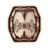 OBR-icon-armor-AmelionShield.png