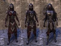 ON-item-armor-Dark Brotherhood Style (Female).jpg