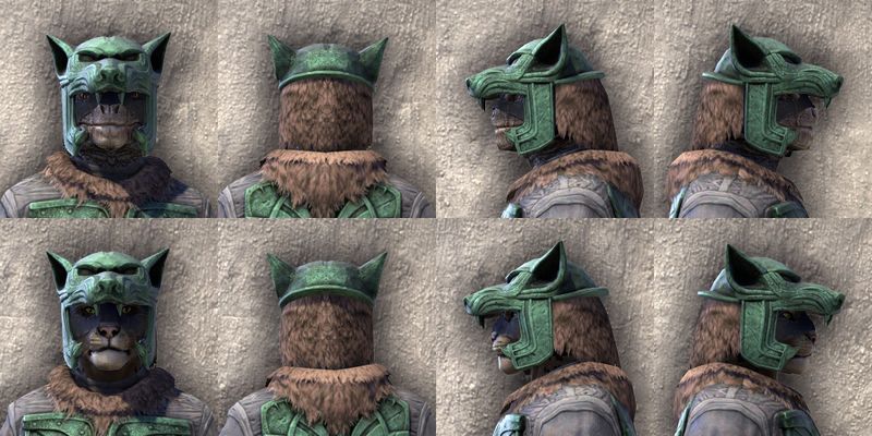 File:ON-item-armor-Skinchanger Medium Beast Races.jpg