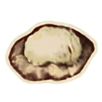 OBR-icon-ingredient-Shepherd's Pie.png