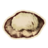 OBR-icon-ingredient-Shepherd's Pie.png