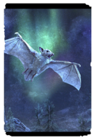ON-card-Snow Throat Fruit Bat.png