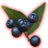 ON-icon-misc-Onyx Berries of Growth.png