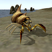 TR3-creature-Molecrab.jpg