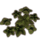 ON-icon-furnishing-Plant Cluster, Jungle Leaf.png
