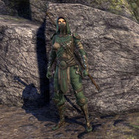ON-item-armor-Outlaw Style light armor (female).jpg