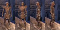 ON-item-armor-Rawhide-Ancient Elf-Male.jpg