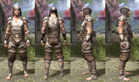 ON-item-armor-Rawhide-Bosmer-Male.jpg