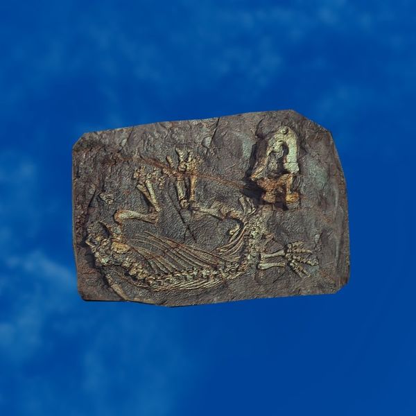 File:SRMOD-LOTD-fossil-t3-small reptile fossil.jpg