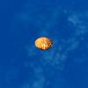 SRMOD-LOTD-tide-scallop shell-orange.jpg