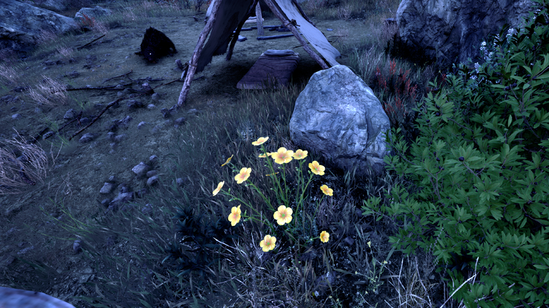 File:OBR-flora-Flax (Yellow).png
