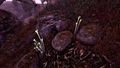 Thumbnail for version as of 15:35, 23 May 2025