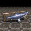 ON-furnishing-Blue Fang Shark, Mounted.jpg