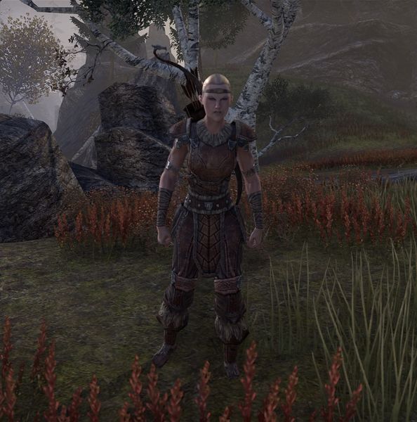 File:ON-npc-Scout (female).jpg