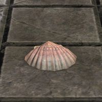 ON-furnishing-Seashell, Pink Scallop 02.jpg