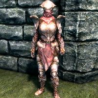 SR-item-Chitin Heavy Armor Female.jpg
