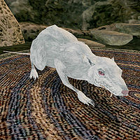 TR3-creature-White Rat.jpg