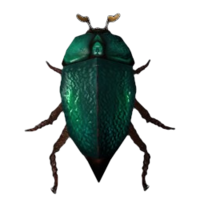 BS5C-icon-ingredient-Beetle.png