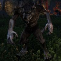 ON-misc-Player Werewolf.jpg