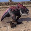 ON-pet-Twilight Kagouti Hatchling.jpg