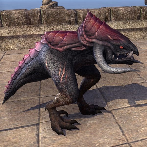 File:ON-pet-Twilight Kagouti Hatchling.jpg