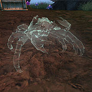 Oblivion Mudcrab