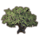ON-icon-furnishing-Tree, Shade Ancient.png
