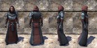 ON-item-armor-Silver Rose Light Robe Male.jpg
