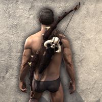 ON-item-weapon-Reach Winter Bow.jpg