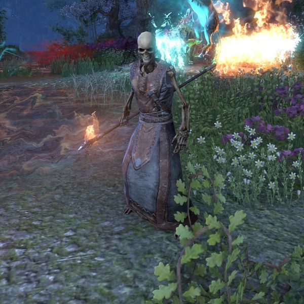 File:ON-npc-Returned Dead Mystic.jpg