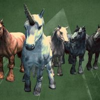 SR-icon-Wild Horses.jpg