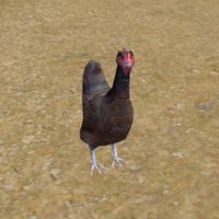 TD3-creature-Chicken 02.jpg