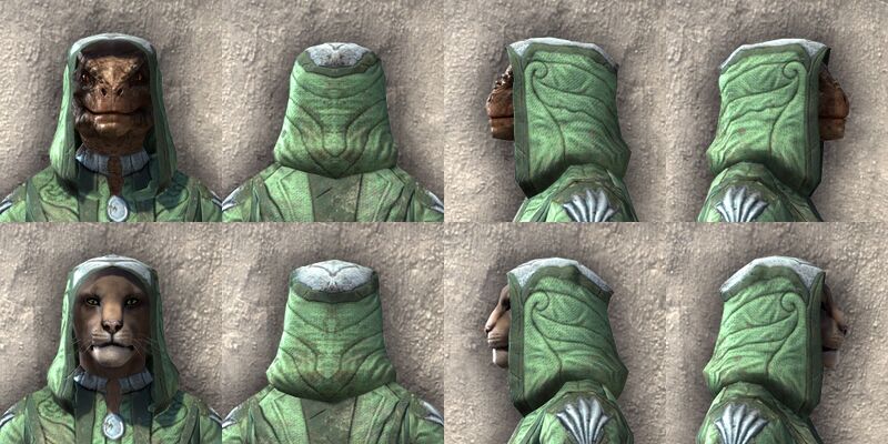 File:ON-item-armor-Ancient Elf Light Beast Races.jpg