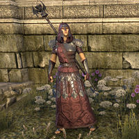 ON-item-armor-Order of the Hour Style light armor (female).jpg